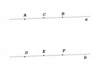 Čiara a segment, meranie a porovnanie segmentov