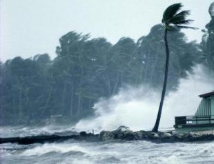 तूफान, तूफ़ान, बवंडर के पर्यावरणीय परिणाम